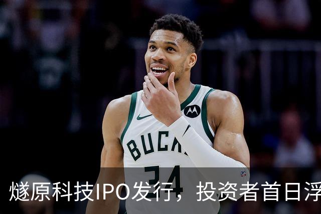 燧原科技IPO发行，投资者首日浮盈可达28万