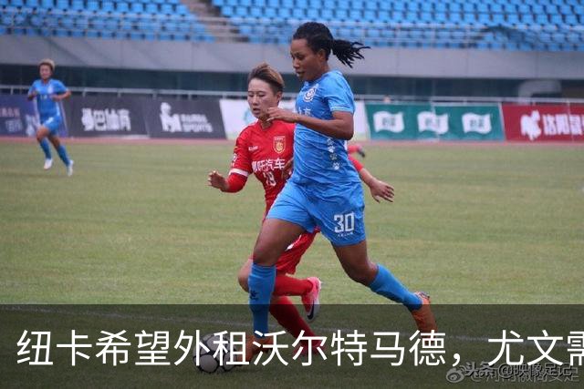 纽卡希望外租沃尔特马德，尤文需分担薪资